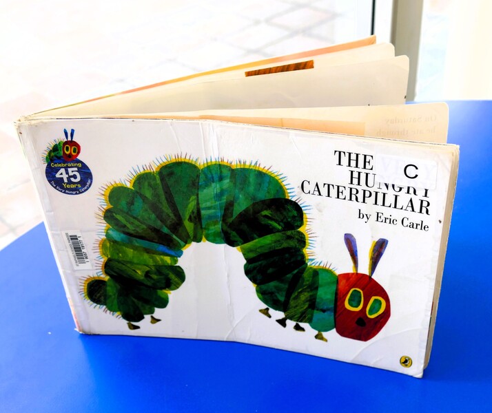 St Raphael's School Book Club Playgroup chooses a different book each week