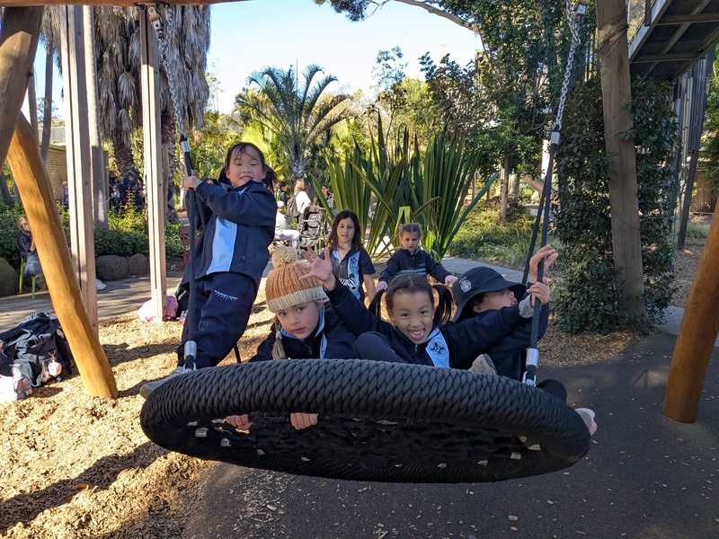 PXL_20250519_041739402